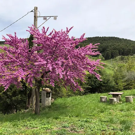 Serra Moneta Çiftlik konaklama Santo Stefano Quisquina