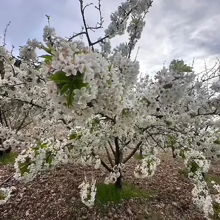 Serra Moneta Santo Stefano Quisquina