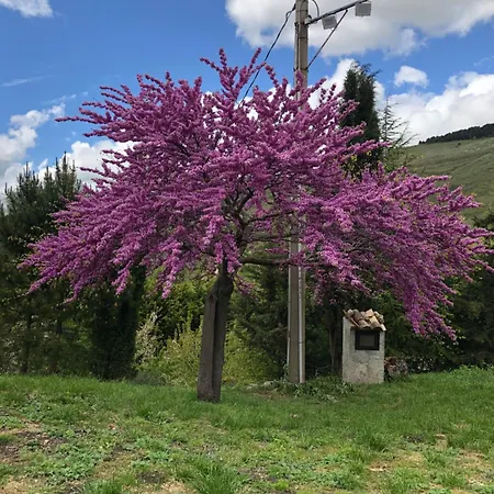 Çiftlik konaklama Serra Moneta *