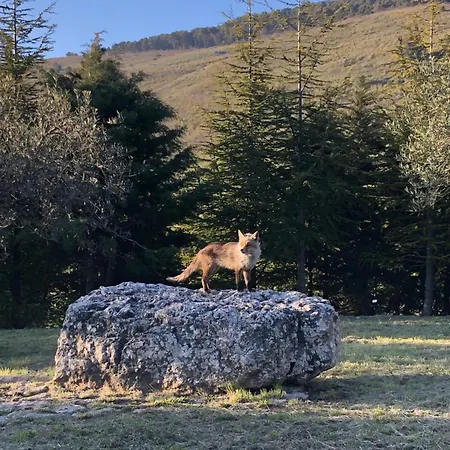 Serra Moneta Çiftlik konaklama