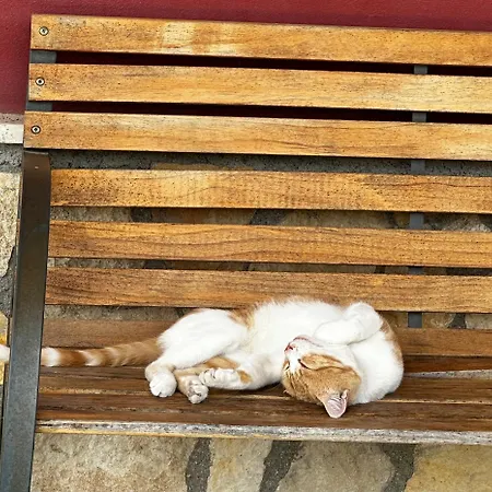 Serra Moneta Çiftlik konaklama Santo Stefano Quisquina